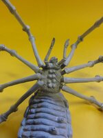 Shelob 15.JPG