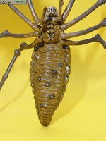 Shelob 24.JPG