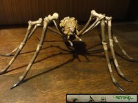 Shelob 36.JPG