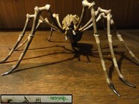 Shelob 37.JPG