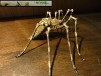 Shelob 38.JPG