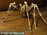 Shelob 40.JPG