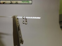 DSC05701.JPG