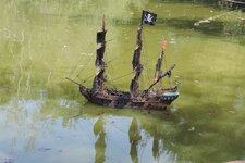 DSCN9722.JPG