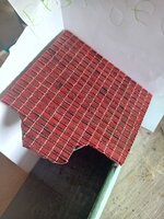 20231019_123332.jpg