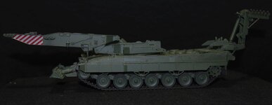 INGUANA 36.jpg