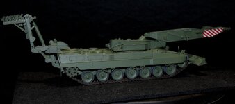INGUANA 39.jpg