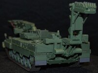 INGUANA 41.jpg