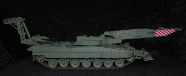 INGUANA 52.jpg