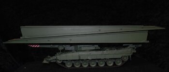 INGUANA 61.jpg
