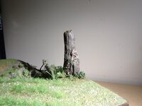 PB020017.JPG
