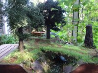 DSC04655.JPG