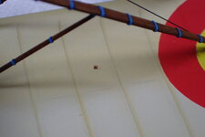 P2060044.JPG
