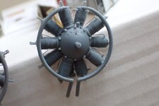 P2270012 (Aangepast).JPG