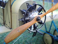 P3050010.JPG