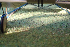 P3050006.JPG