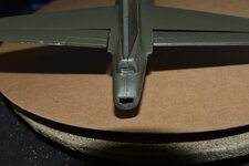 Tail split.jpg