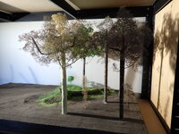 P5130007.JPG