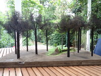 P5150007.JPG