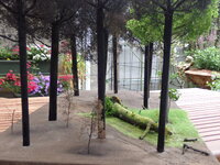 P5150010.JPG
