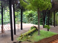 P5150013.JPG
