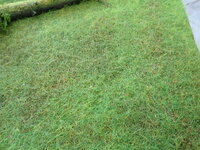 P5160005.JPG