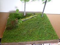 P5230008.JPG