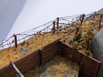 169.jpg