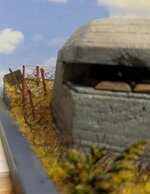 174.jpg