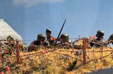 196.jpg