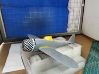 IMG_20250706_165651924.jpg