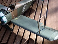 P8290015.JPG