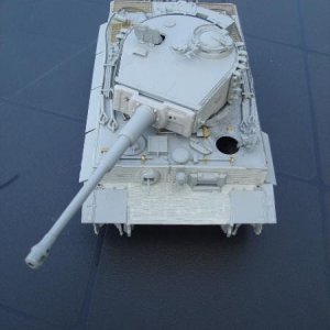 tiger1