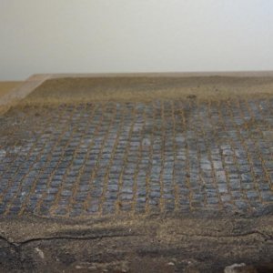 DSC00955