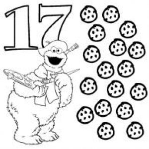17 cookie